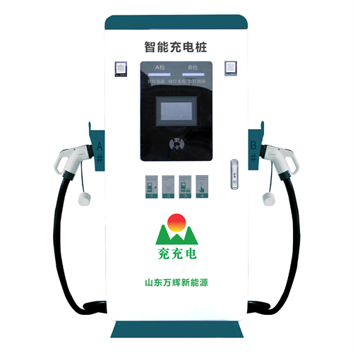 ɽ�����׮����������